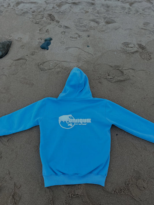 UNIQUE BLUE HOODIE